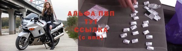 шишки Белокуриха