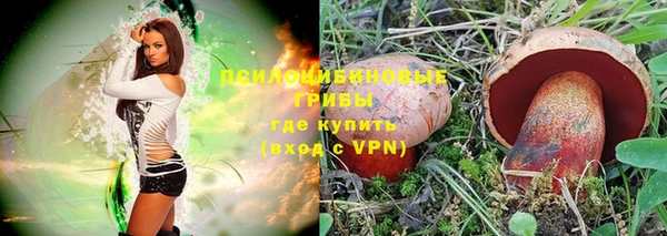 шишки Белокуриха