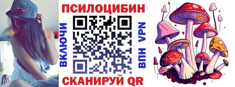 ссылка на мегу ССЫЛКА  купить закладку  Билибино  Псилоцибиновые грибы GOLDEN TEACHER 